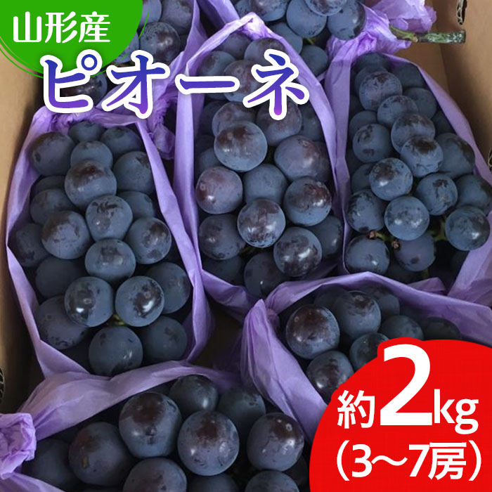 山形市産 ぶどう(ピオーネ) 秀 2kg(3?7房)[後半] 【令和8年産