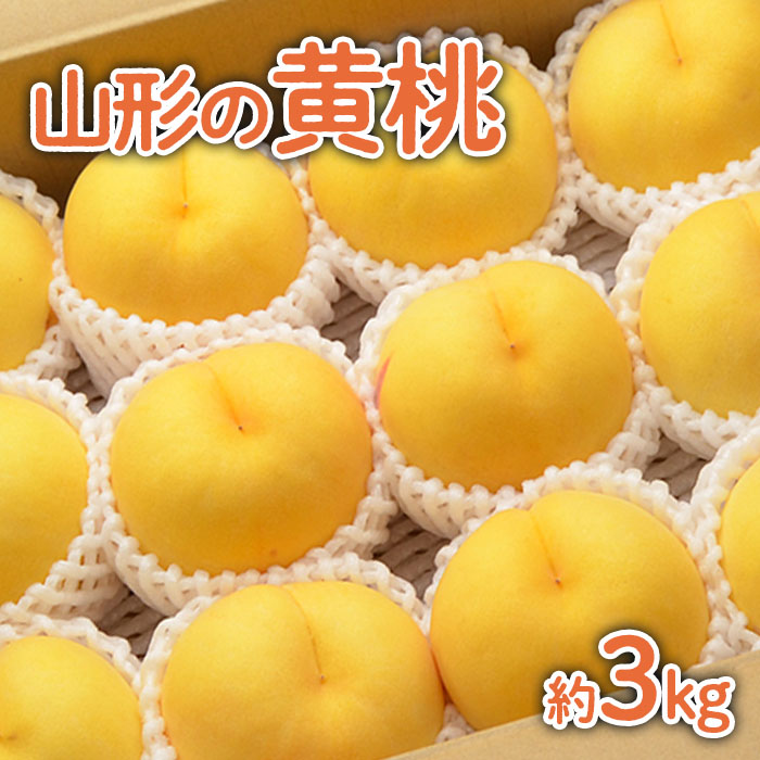 山形の黄桃 約3kg(6～13玉)[柔らかくなる品種・果肉やや硬め]