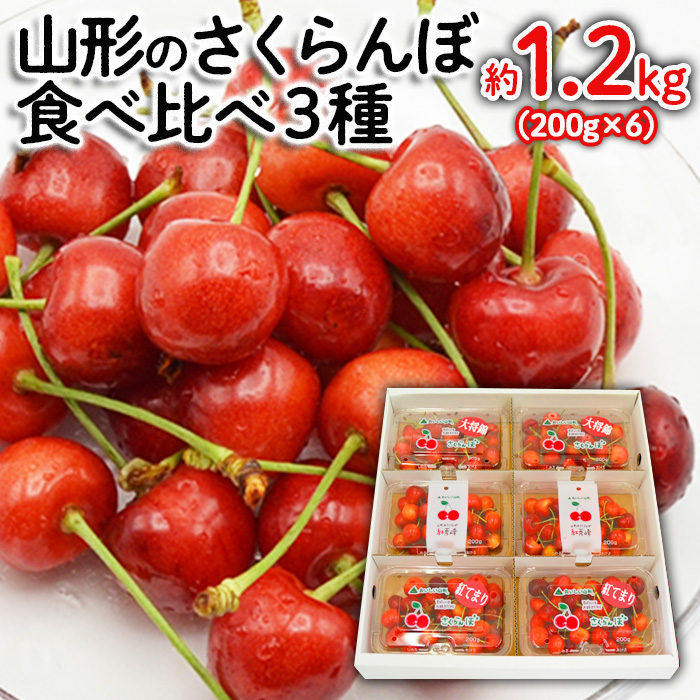 山形のさくらんぼ食べ比べ3種 1.2kg(200g×6パック)[紅秀峰・紅