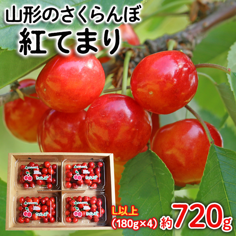 山形のさくらんぼ 紅てまり Lサイズ以上 720g(180g×4) 【令和8
