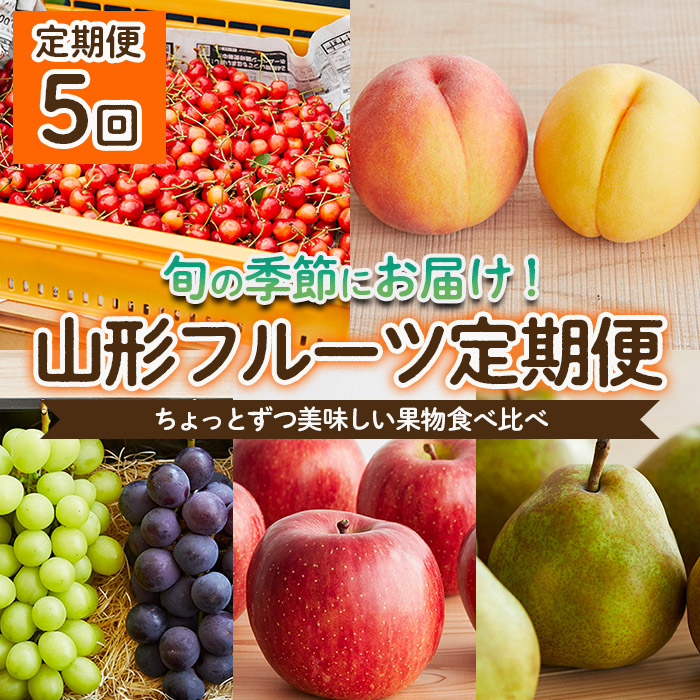 [定期便5回]ちょっとずつ美味しい果物食べ比べ定期便 [令和6年産先行予約]FU22-068