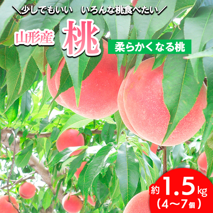 山形の桃 [柔らかめ] 約1.5kg(4〜7個) [令和6年産先行予約]FU23-358 前半品種:あかつき、まどか、川中島白桃