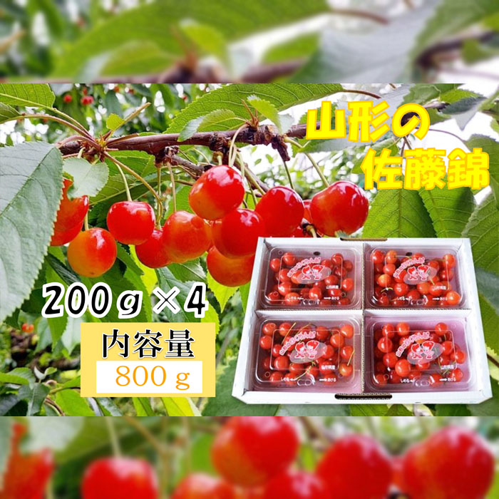 山形産 さくらんぼ 佐藤錦 秀 L～2Lサイズ 800g(200g×4パック)