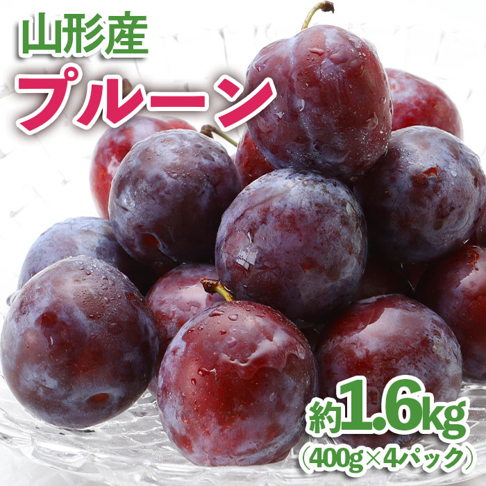 山形産 プルーン 約1.6kg(400g×4パック)【令和8年産先行予約】