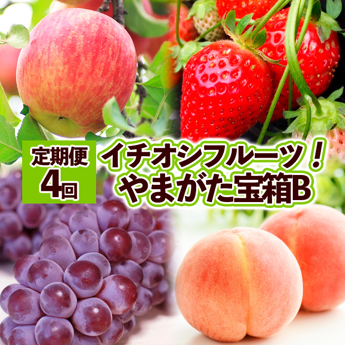 【定期便4回】イチオシフルーツ！やまがた宝箱B  FY25-822