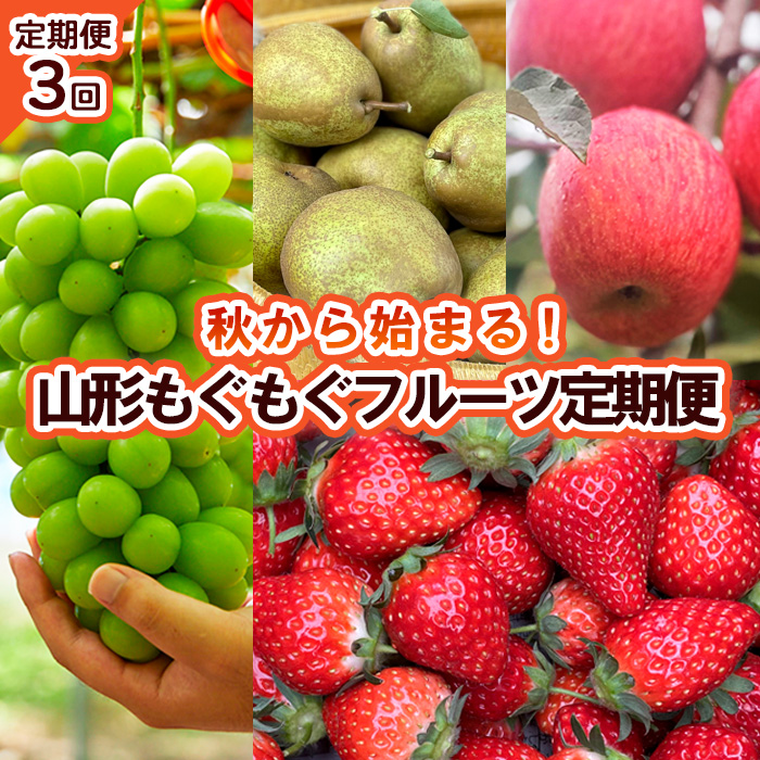 [定期便3回]秋から始まる!山形もぐもぐフルーツ定期便 [令和6年産先行予約]FU23-626