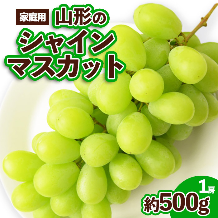 [ご家庭用]山形のシャインマスカット 優品 1房 約500g [令和6年産先行予約]FS23-647 [前半]9月中旬〜10月中旬発送