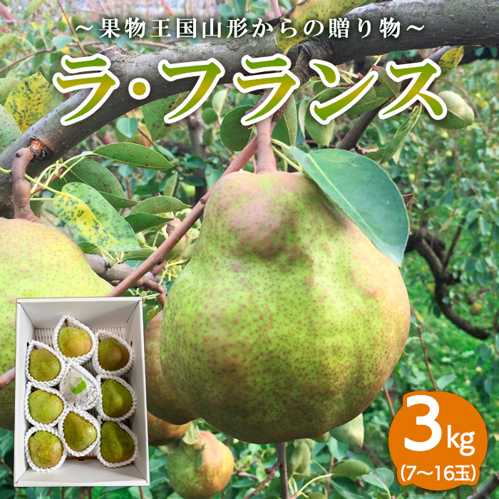 ～果物王国山形からの贈り物～ラ・フランス 秀3kg FY23-707