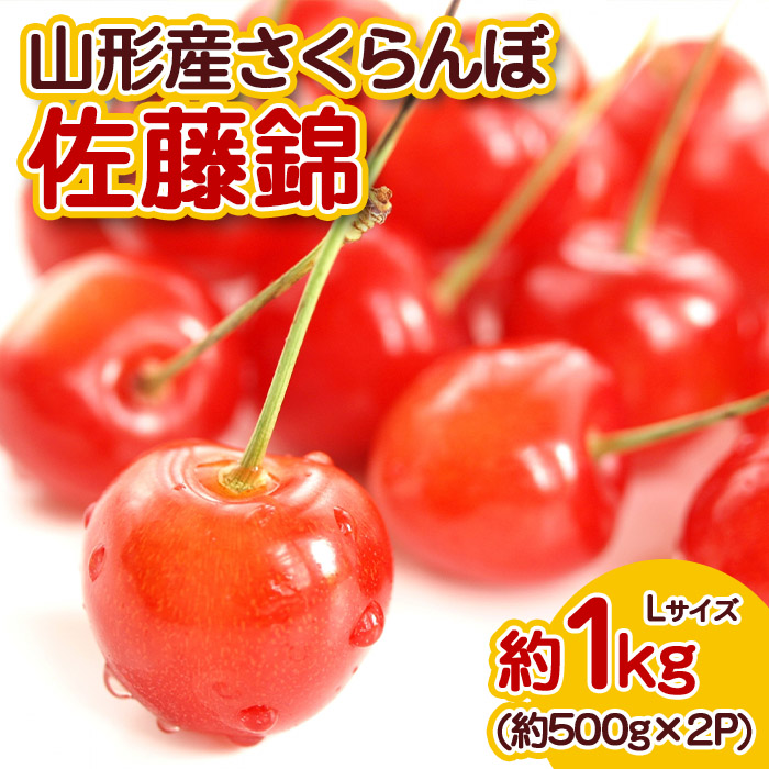 山形産 さくらんぼ 佐藤錦 Lサイズ 約1kg 【令和7年産先行予
