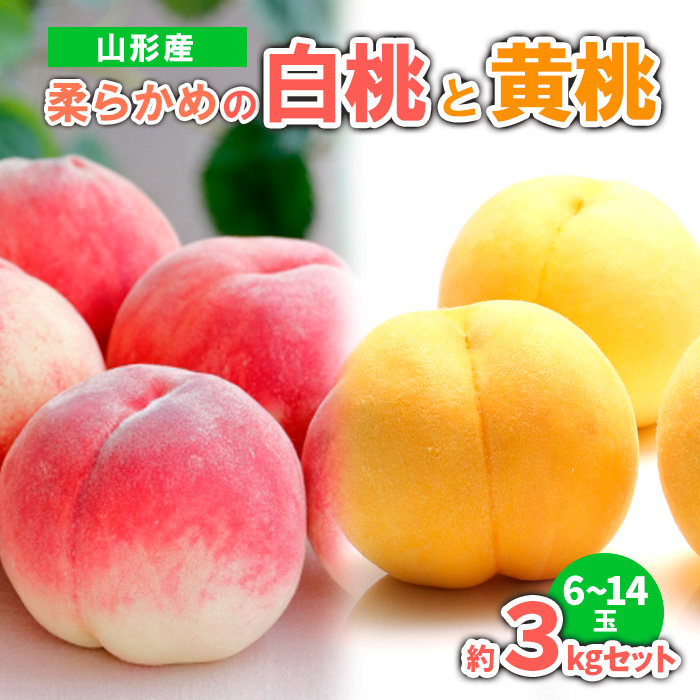 山形産 柔らかめの白桃と黄桃　約３kgセット（6～14玉) 【令