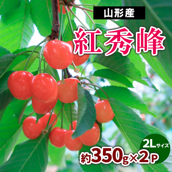 山形産 さくらんぼ 紅秀峰 約700g(約350g×2P) 2Lサイズ 【令和7