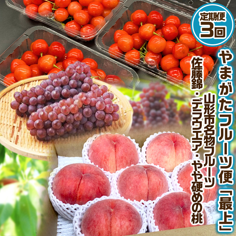 【定期便3回】やまがた フルーツ定期便 ”最上” 山形名物