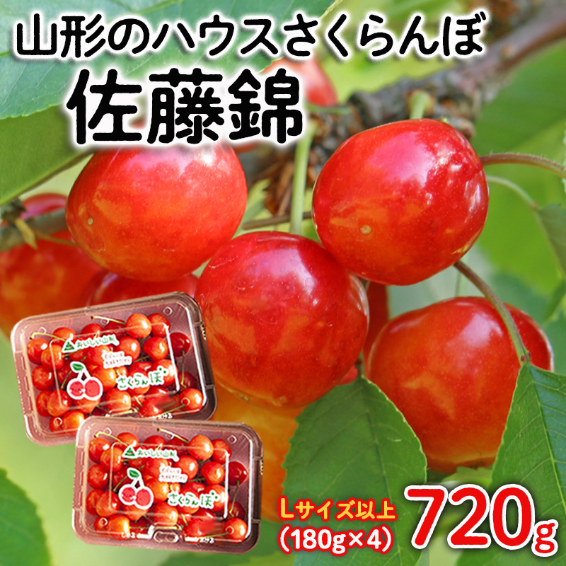 山形のハウスさくらんぼ 佐藤錦 720g(180g×4パック) Lサイズ以