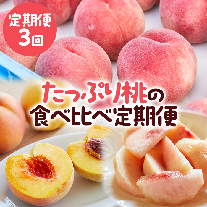 【定期便3回】たっぷり桃の食べ比べ定期便 【令和8年産先