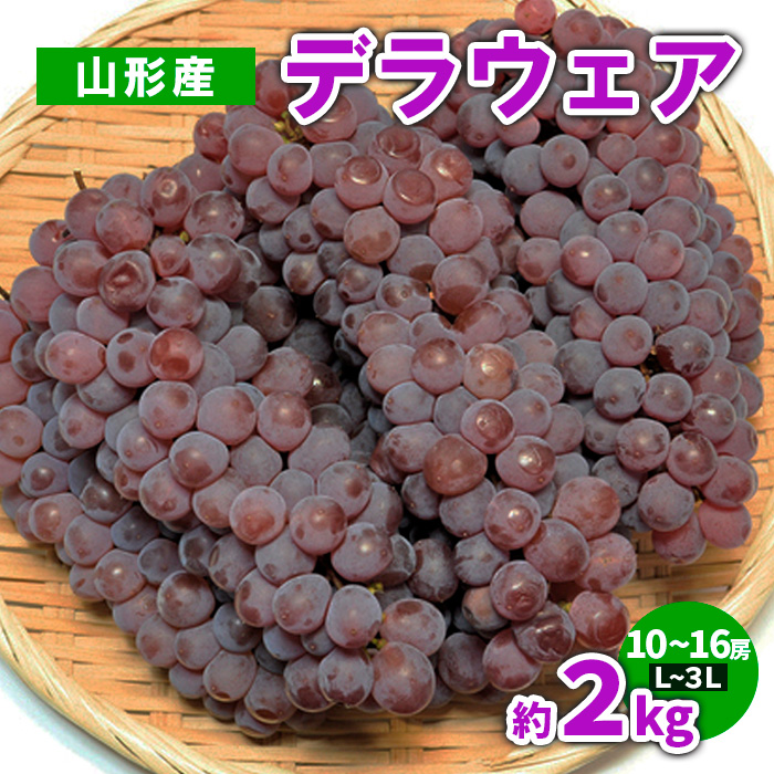 山形産 デラウェア 約2kg(10～16房) L～3L【令和8年産先行予約