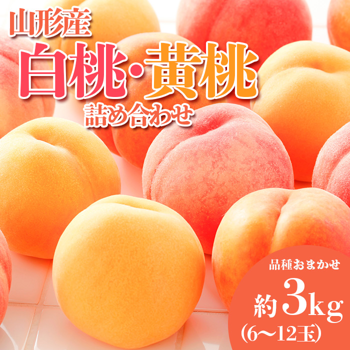 やまがたの桃(白桃・黄桃詰合せ)  品種お任せ 白桃＆黄桃