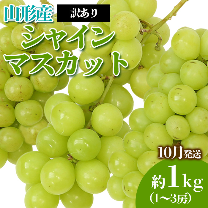 [訳あり]やまがたのぶどう シャインマスカット 10月 優品 約1kg(1〜3房程度) [令和6年産先行予約]FS23-819