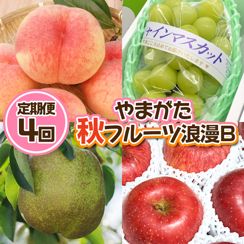 【定期便4回】やまがた 秋フルーツ浪漫B【令和7年産先行予