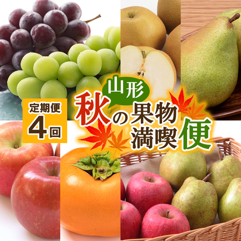 【定期便4回】山形秋の果物 満喫便【令和8年産先行予約】FS
