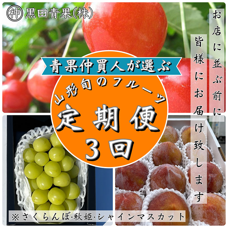 【定期便3回】青果仲買人が選ぶ！山形旬のフルーツ3選！[