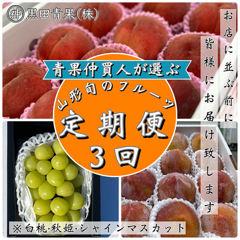 【定期便3回】青果仲買人が選ぶ！山形旬のフルーツ3選！[