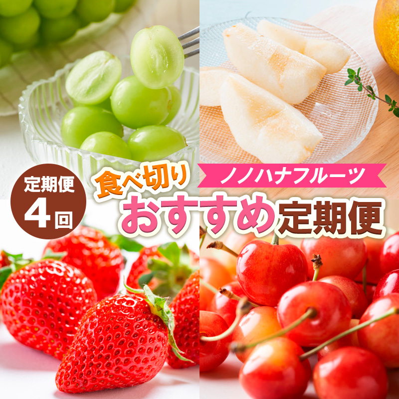 【定期便4回】ノノハナフルーツ　食べ切りおすすめ定期便