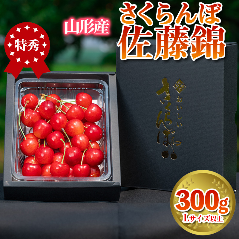さくらんぼ 「佐藤錦」 300g 特秀品 Lサイズ以上 山形産【令