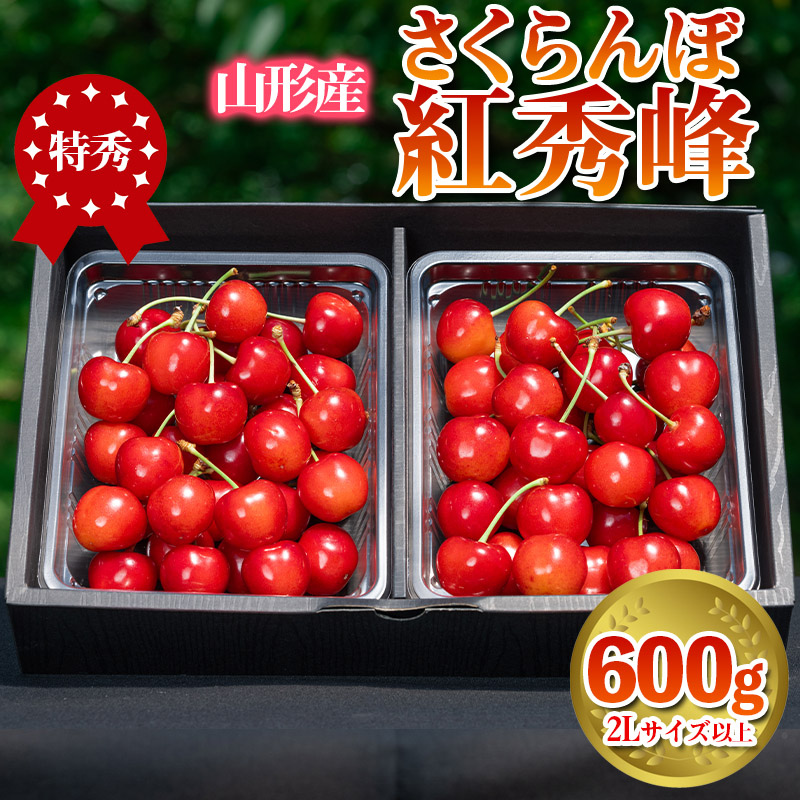 さくらんぼ 「紅秀峰」 600g 特秀品 2Lサイズ以上 山形産【令