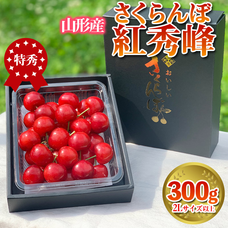 さくらんぼ 「紅秀峰」 300g 特秀品 2Lサイズ以上 山形産[令和7年産先行予約] FS24-038