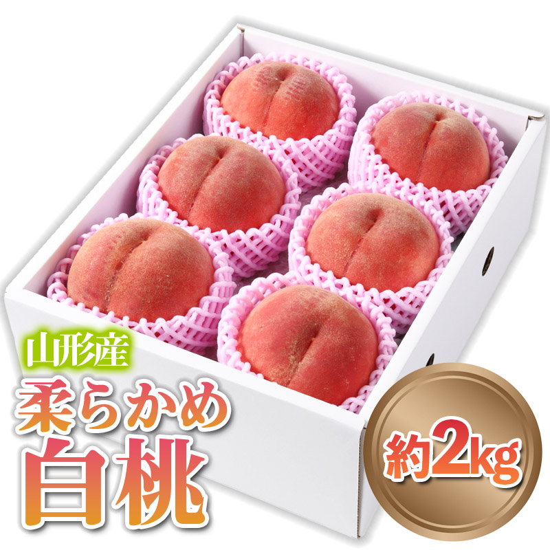 山形産 柔らかめ 「白桃」 秀品 約2kg (5玉～8玉)【令和8年産