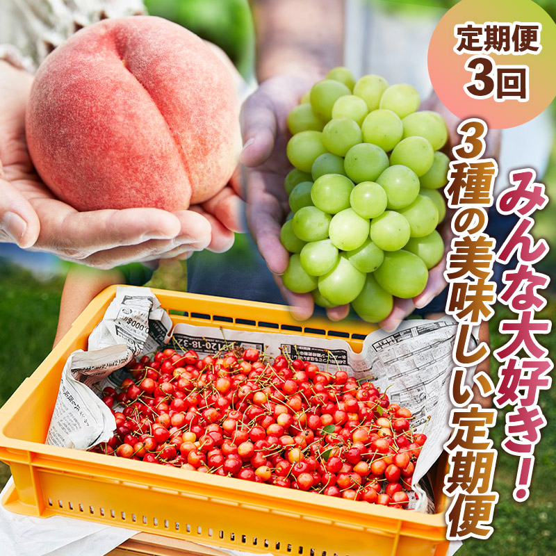 【定期便3回】みんな大好き！３種の美味しい果物定期便 FY2
