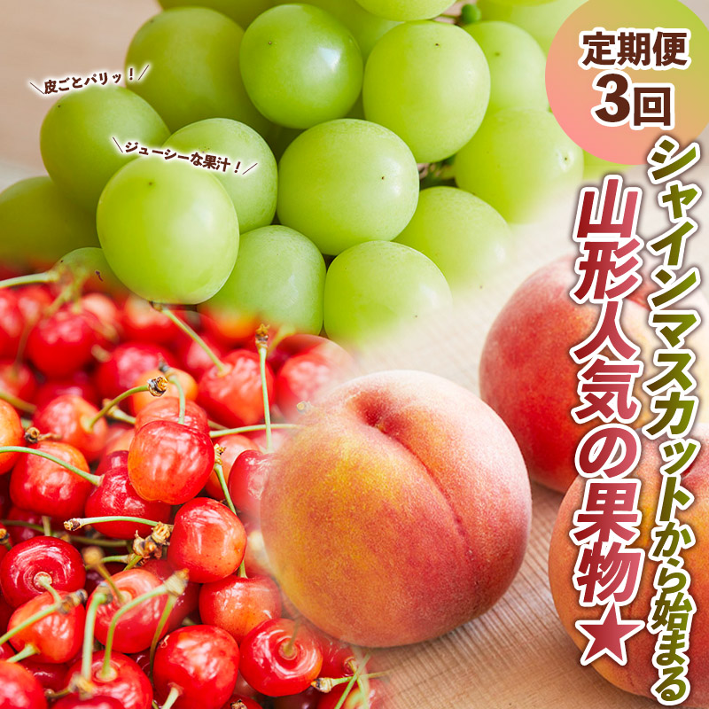 【定期便3回】皮ごとパリッ！ジューシーな果汁のシャイン