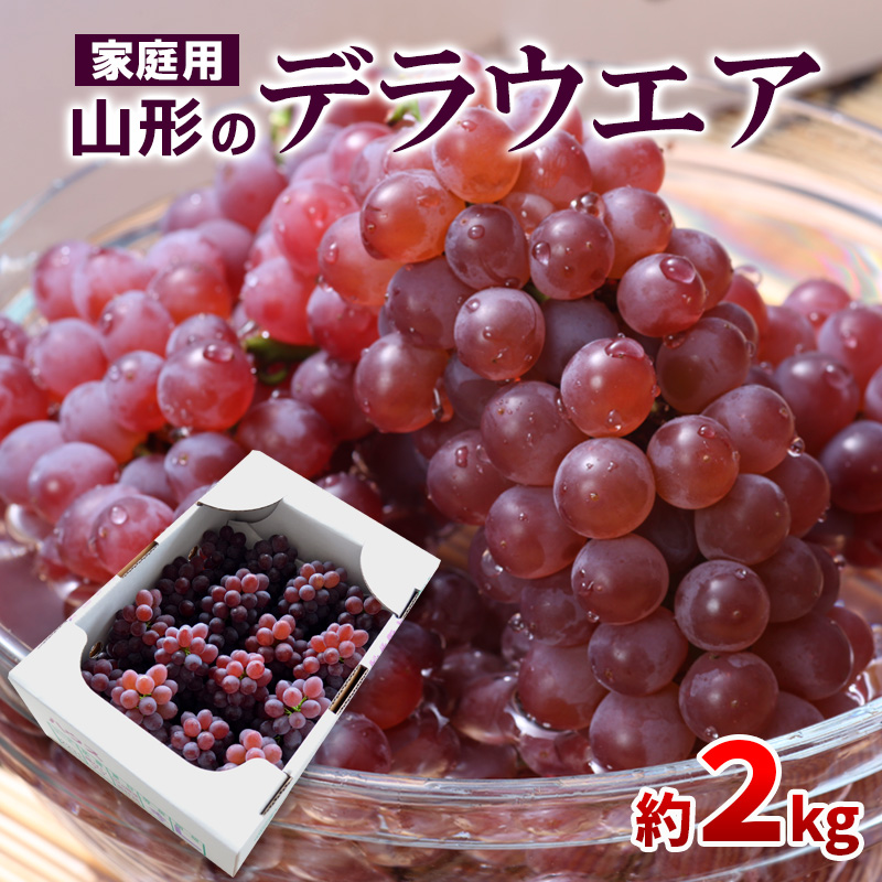 [ご家庭用]山形のデラウエア M〜3L 約2kg(9〜20房) [粒サイズおまかせ][令和7年産先行予約] FS24-137