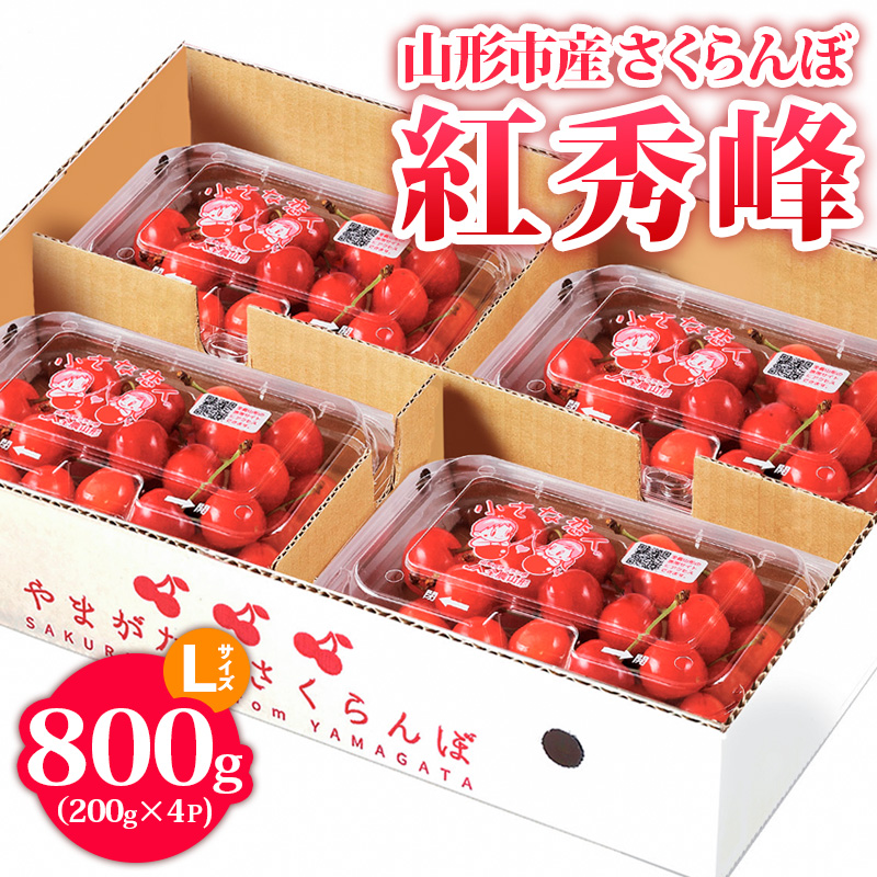 山形市産 さくらんぼ【紅秀峰】 Lサイズ 800g(200g×4P) 【令和8