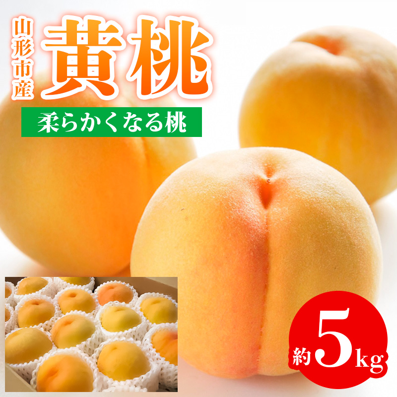 山形市産 黄桃 秀品 5kg (12～20玉) 柔らかくなる桃【令和8年
