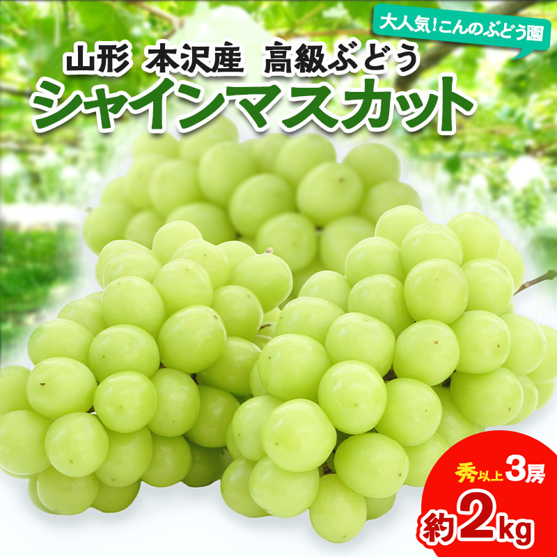 大人気！【こんのぶどう園】山形本沢産 高級ぶどう シャイ