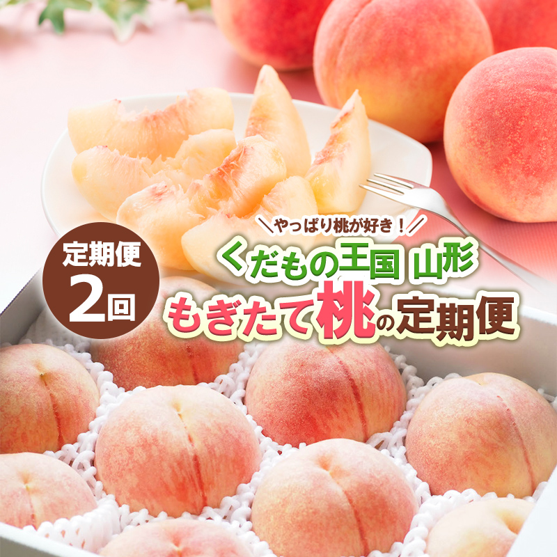 【定期便2回】やっぱり桃が好き！くだもの王国山形 もぎた