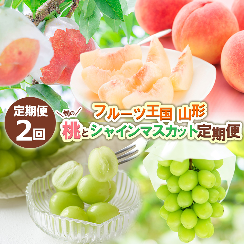 【定期便2回】フルーツ王国山形 旬の桃とシャインマスカッ