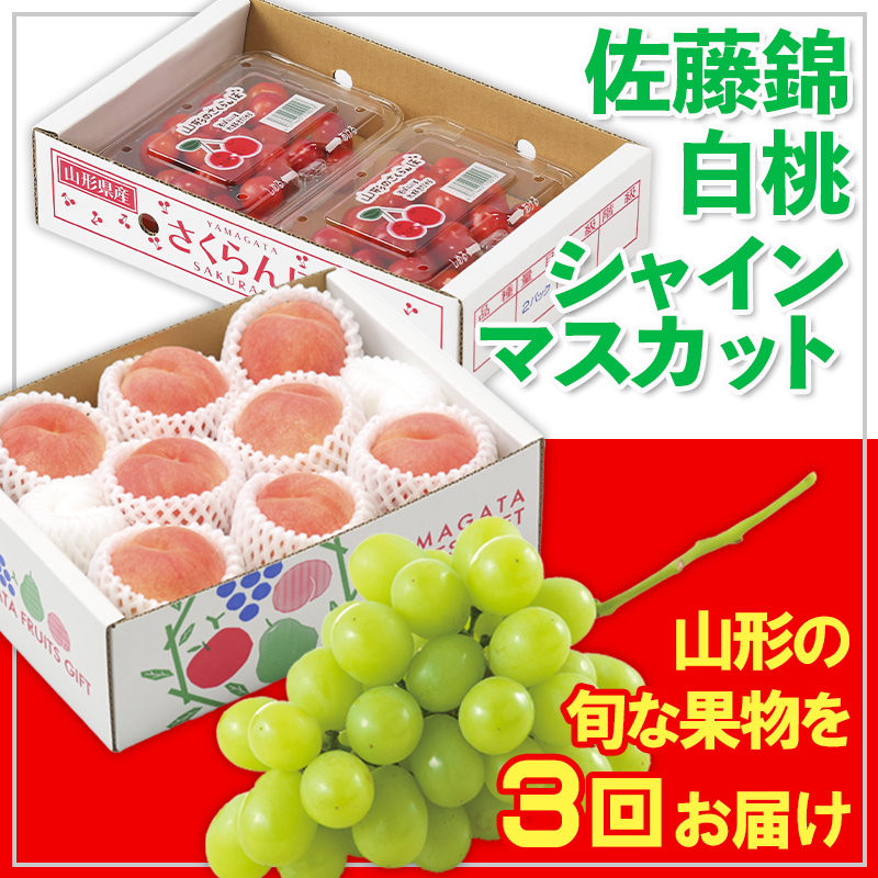 【定期便3回】☆フルーツ王国山形☆佐藤錦・白桃・シャイ