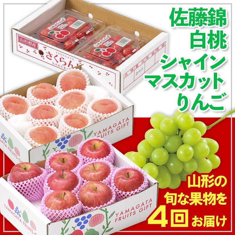 【定期便4回】☆フルーツ王国山形☆佐藤錦・白桃・シャイ