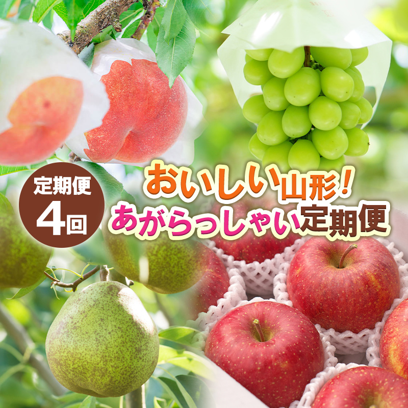 【定期便4回】おいしい山形！ あがらっしゃい定期便 【令