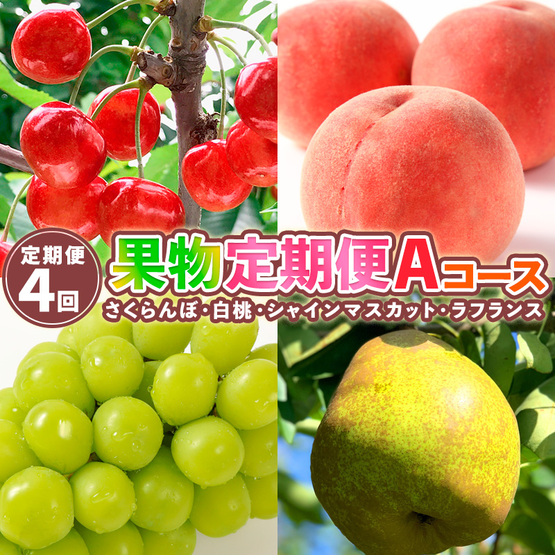 【定期便4回】果物定期便Aコース(さくらんぼ、白桃、シャ