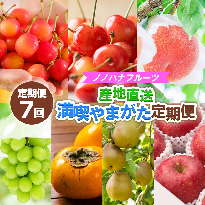 【定期便7回】ノノハナフルーツ　【産地直送】　満喫やま