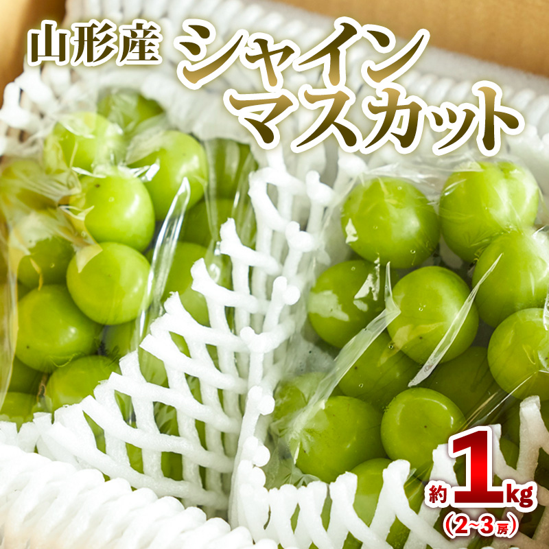 山形産 シャインマスカット 約1kg (2～3房) 秀品 【令和8年産