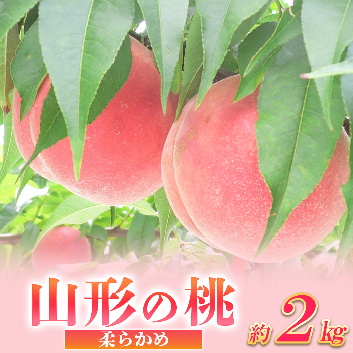 山形の桃 [柔らかめ] 約2kg(4～9個) 【令和8年産先行予約】FS24