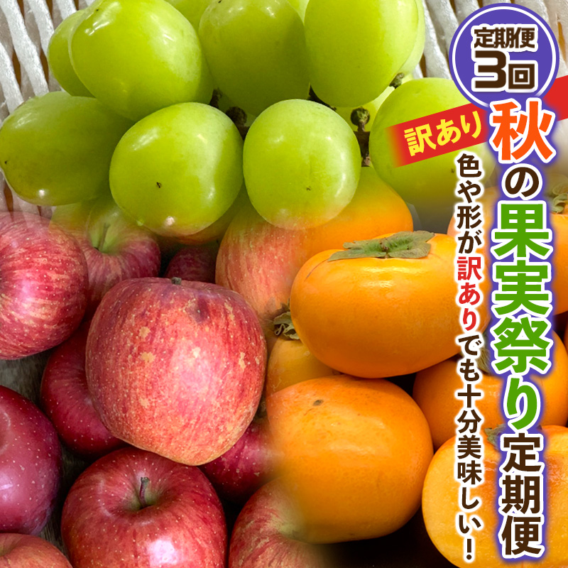 【定期便3回】★訳あり★秋の果実祭り定期便 色や形が訳あ