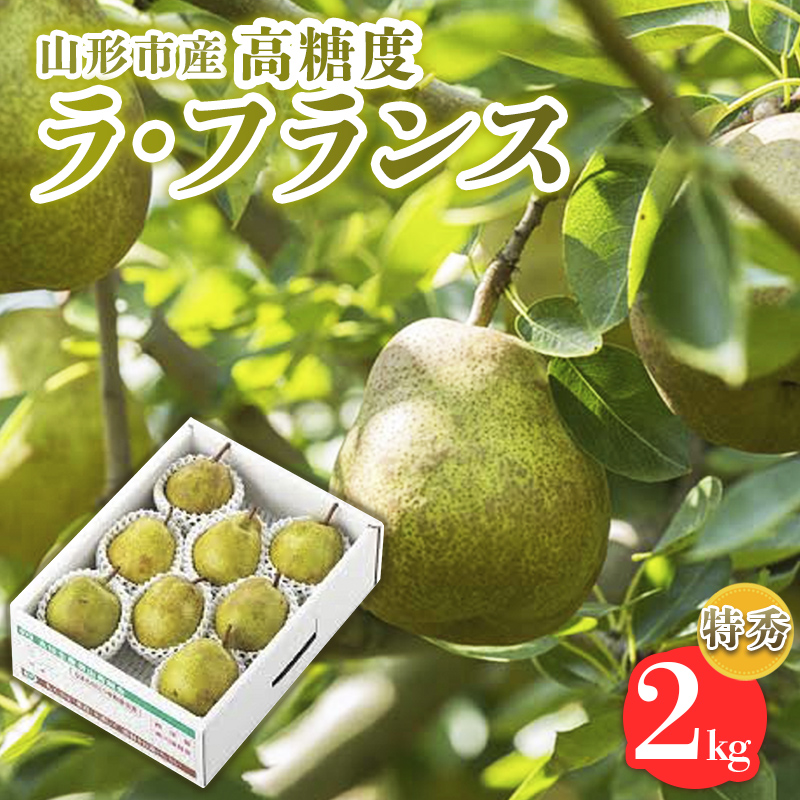 山形市産【高糖度ラフランス】特秀品 2kg (5～8玉) 極上フル