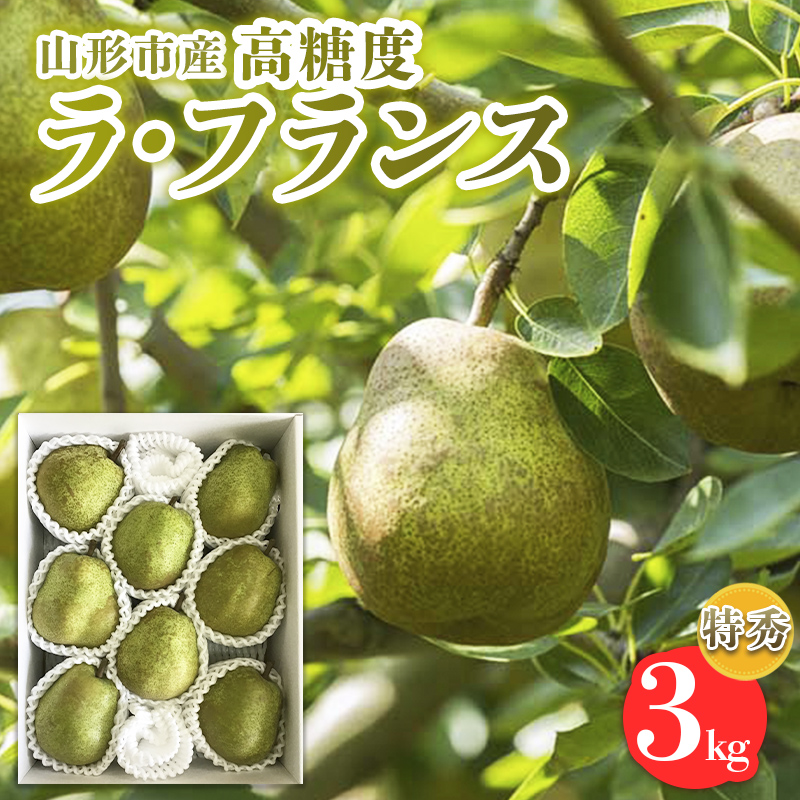 山形市産【高糖度ラフランス】特秀品 3kg (6～10玉) 極上フル