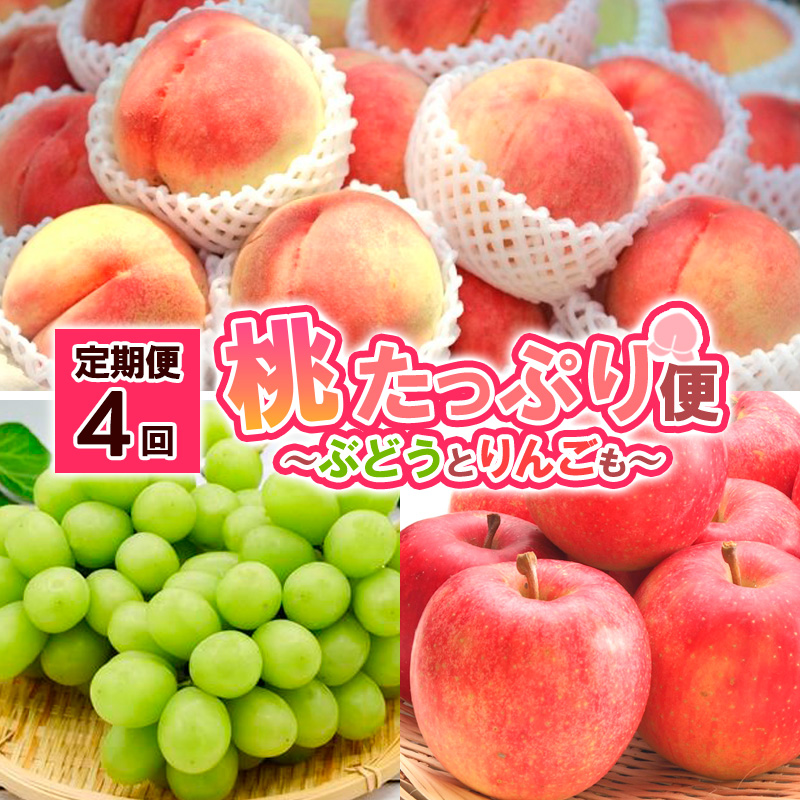 【定期便4回】桃たっぷり便～ぶどうとりんごも～ 【令和8