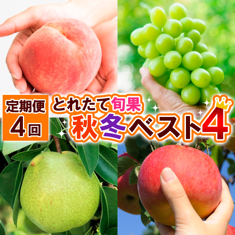 【定期便4回】とれたて旬果 秋冬ベスト4 【令和8年産先行予